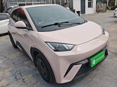 BYD Seagull Glory Edition 305km Vitality Version - ფოტო 4