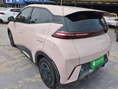 BYD Seagull Glory Edition 305km Vitality Version - ფოტო 5