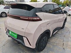 BYD Seagull Glory Edition 305km Vitality Version - ფოტო 7