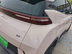 BYD Seagull Glory Edition 305km Vitality Version - ფოტო 8