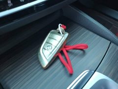 BMW 5 Series 530Li Leading Edition Luxury Package - ფოტო 9
