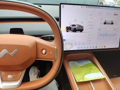 Nio Lerado L60 60kWh Rear-Wheel Drive - ფოტო 10
