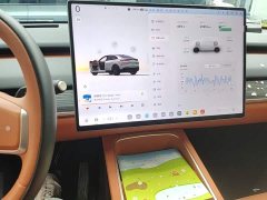 Nio Lerado L60 60kWh Rear-Wheel Drive - ფოტო 13