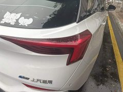 Buick Weilan 6 2023 430km Travel Edition - ფოტო 8