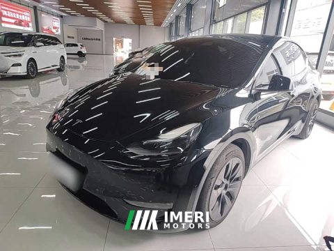 2021 Tesla Model Y Standard Range RWD - ავტომობილი ჩინეთიდან