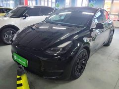 Tesla Model Y Standard Range RWD - ფოტო 1