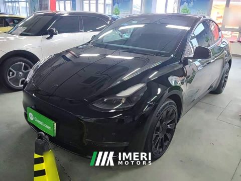 2021 Tesla Model Y Standard Range RWD - ავტომობილი ჩინეთიდან