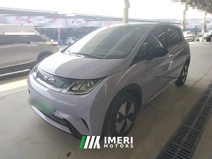 BYD Dolphin 420km Fashion Edition