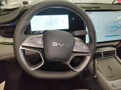 BYD Dolphin 07 DM-i 1.5T 230km Premium Edition - ფოტო 11