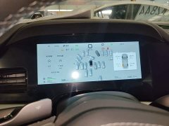 BYD Dolphin 07 DM-i 1.5T 230km Premium Edition - ფოტო 12