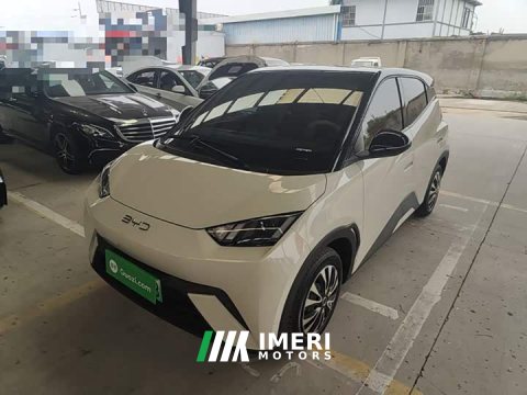 2024 BYD Seagull Glory Edition 305km Vitality Version - ავტომობილი ჩინეთიდან