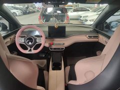 BYD Seagull Glory Edition 305km Vitality Version - ფოტო 10