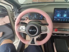 BYD Seagull Glory Edition 305km Vitality Version - ფოტო 11