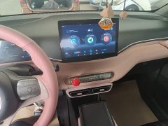 BYD Seagull Glory Edition 305km Vitality Version - ფოტო 13
