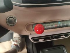 BYD Seagull Glory Edition 305km Vitality Version - ფოტო 14