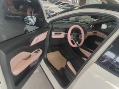 BYD Seagull Glory Edition 305km Vitality Version - ფოტო 16