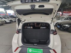 BYD Seagull Glory Edition 305km Vitality Version - ფოტო 19