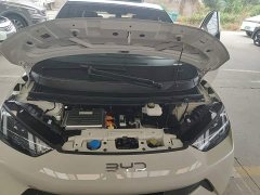 BYD Seagull Glory Edition 305km Vitality Version - ფოტო 20