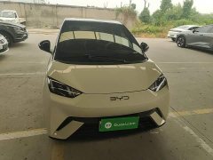 BYD Seagull Glory Edition 305km Vitality Version - ფოტო 3