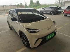 BYD Seagull Glory Edition 305km Vitality Version - ფოტო 4