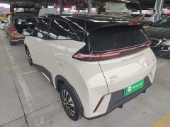BYD Seagull Glory Edition 305km Vitality Version - ფოტო 5