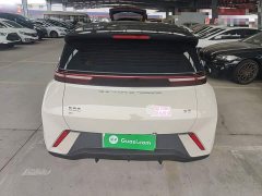 BYD Seagull Glory Edition 305km Vitality Version - ფოტო 6