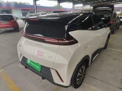BYD Seagull Glory Edition 305km Vitality Version - ფოტო 7