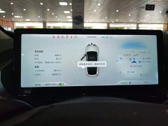 XPeng P5 500Pro - ფოტო 12