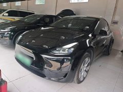 Tesla Model Y Rear-Wheel Drive - ფოტო 1
