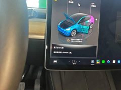 Tesla Model Y Rear-Wheel Drive - ფოტო 12