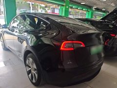 Tesla Model Y Rear-Wheel Drive - ფოტო 5