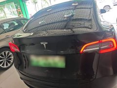 Tesla Model Y Rear-Wheel Drive - ფოტო 6