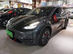 Tesla Model Y Rear-Wheel Drive - ფოტო 1