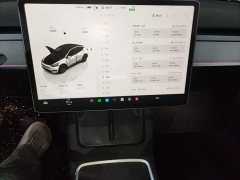 Tesla Model Y Rear-Wheel Drive - ფოტო 13