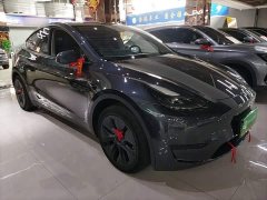 Tesla Model Y Rear-Wheel Drive - ფოტო 4