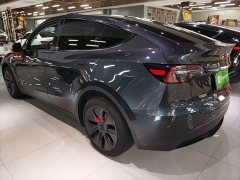 Tesla Model Y Rear-Wheel Drive - ფოტო 5