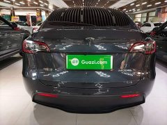 Tesla Model Y Rear-Wheel Drive - ფოტო 6