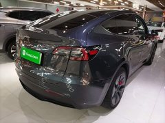 Tesla Model Y Rear-Wheel Drive - ფოტო 7
