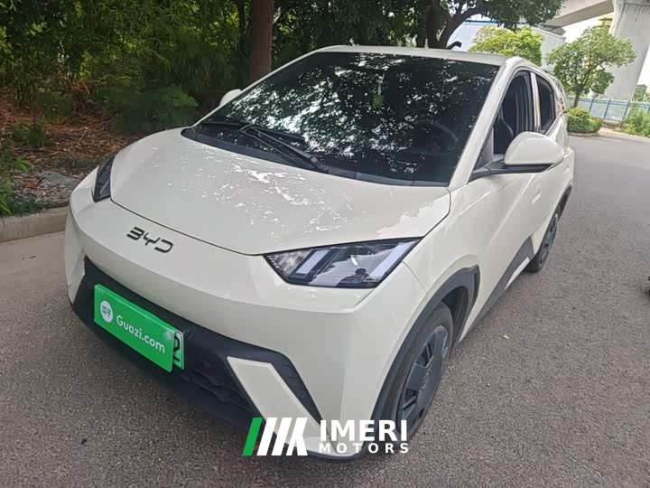 BYD Seagull 305km Vitality Edition - ავტომობილი ჩინეთიდან