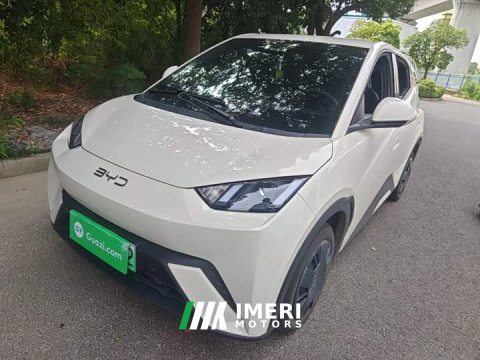 2025 BYD Seagull 305km Vitality Edition - ავტომობილი ჩინეთიდან