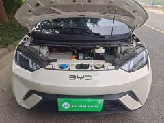BYD Seagull 305km Vitality Edition - ფოტო 20
