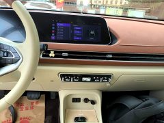 ORA Good Cat Morandi Edition 400km Standard Range Deluxe Type LFP Battery - ფოტო 13