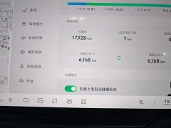 XPeng MONA M03 600 Ultra-Long Range Max - ფოტო 12