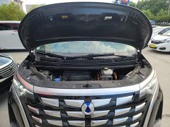 Denza BYD Denza D9 DM-i 1050 Premium - ფოტო 20