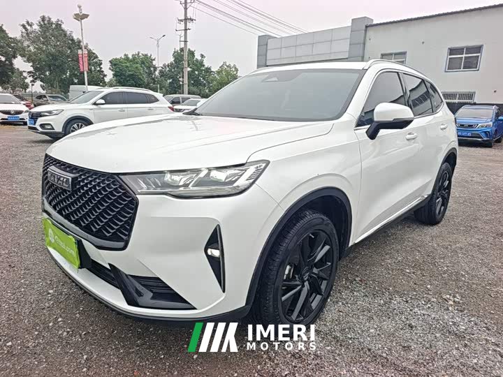 Haval H6 Third Generation 2.0T Automatic Two-Wheel Drive Max