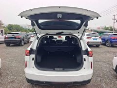 Haval H6 2021 Third Generation 2.0T Automatic Two-Wheel Drive Max - ფოტო 19