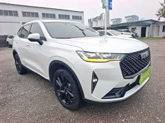 Haval H6 2021 Third Generation 2.0T Automatic Two-Wheel Drive Max - ფოტო 4