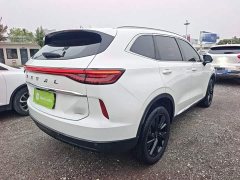 Haval H6 2021 Third Generation 2.0T Automatic Two-Wheel Drive Max - ფოტო 7