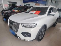 Haval H6 1.5T Automatic Champion Edition - ფოტო 1