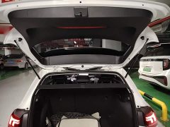 Volkswagen Golf 300TSI Pro - ფოტო 19